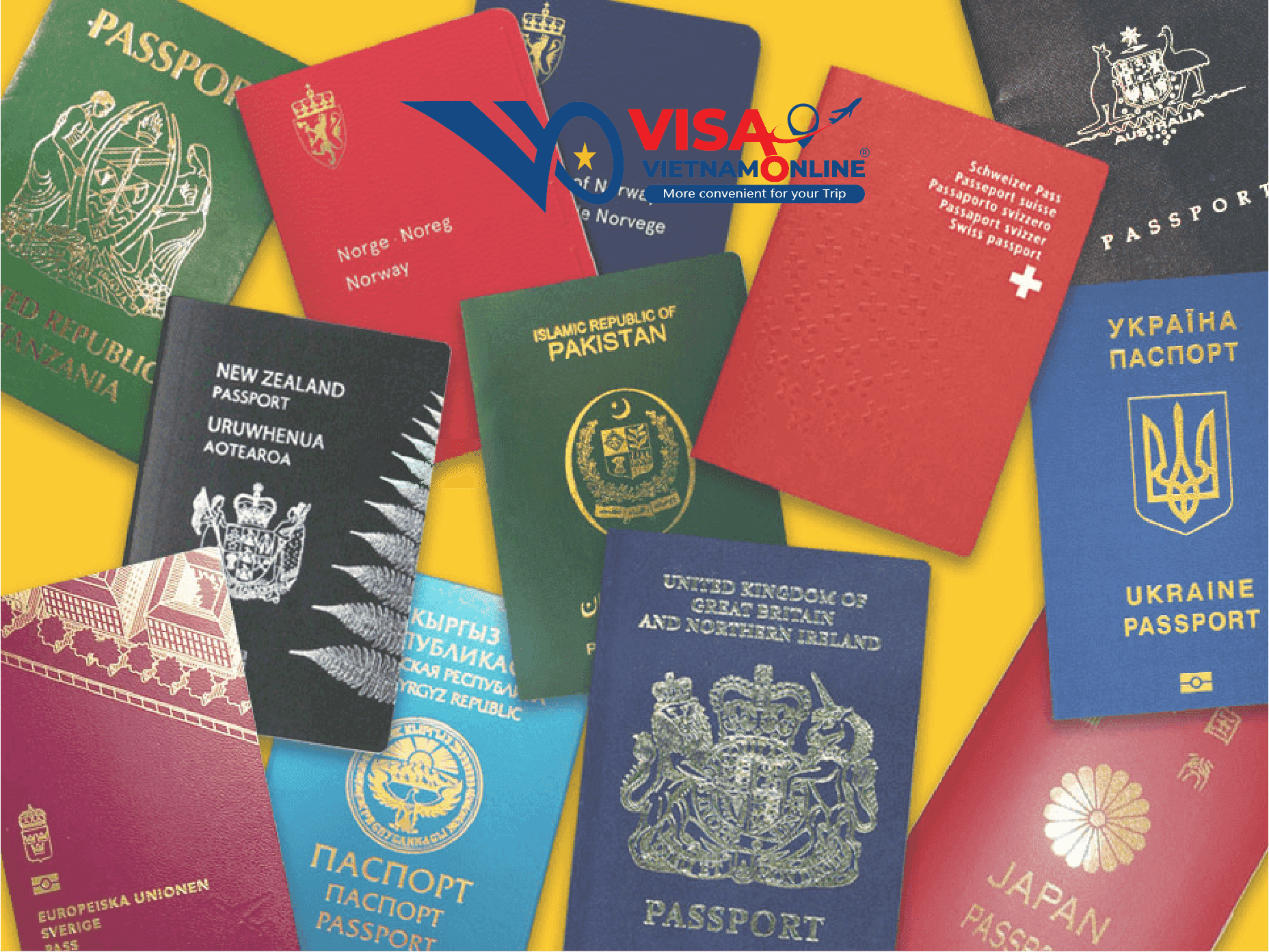 You may not know: What does your passport color stand for?