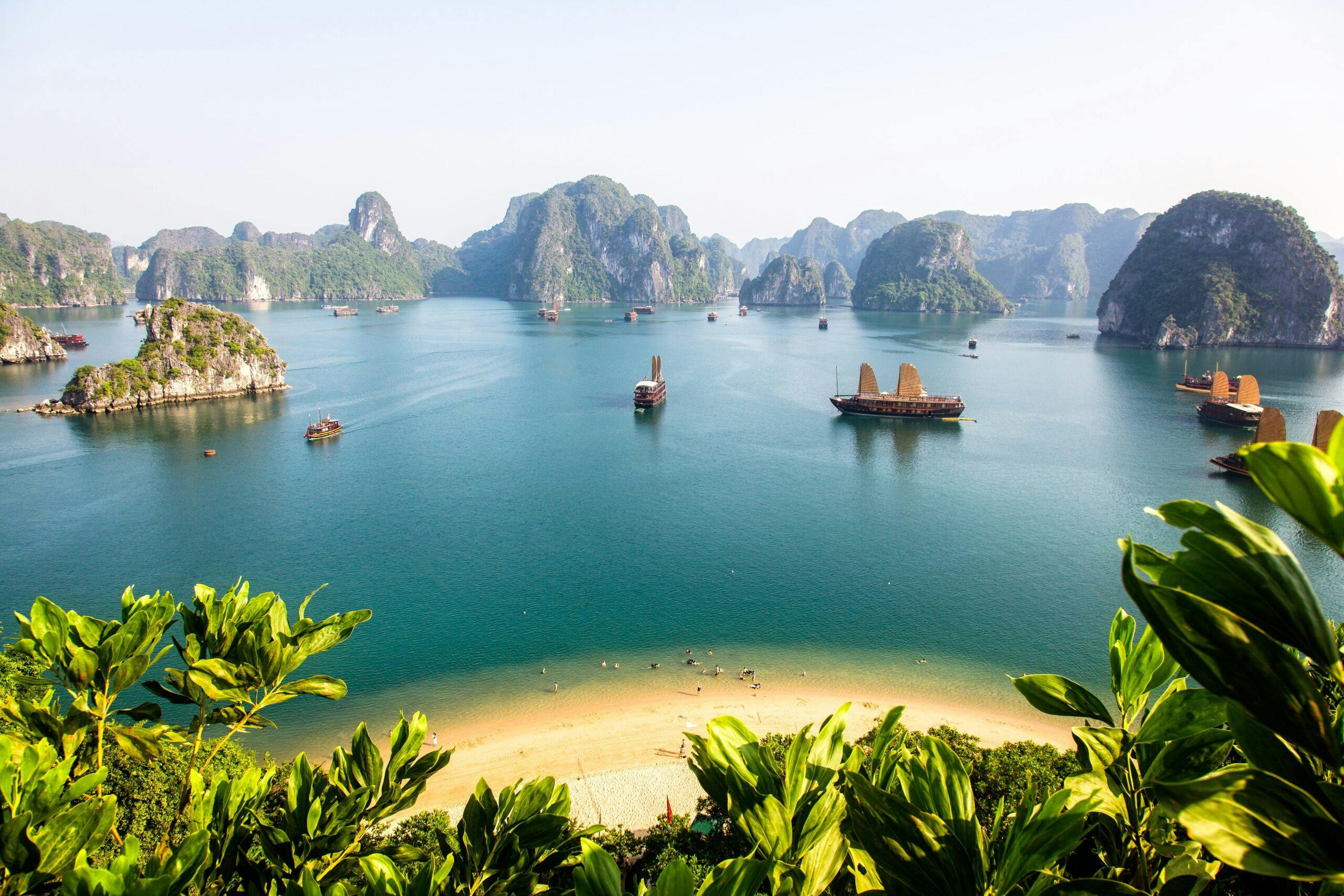 Entry Visa for Vietnam Requirements, Types, and Application Process 2024