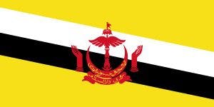 How to get Vietnam visa from Brunei ?