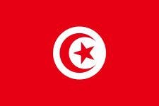 How to get Vietnam Visa from Tunisia ?