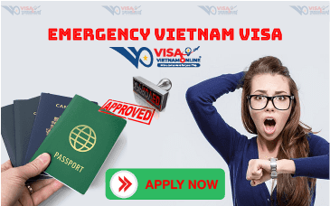 How to get Vietnam Visa from Kenya ?