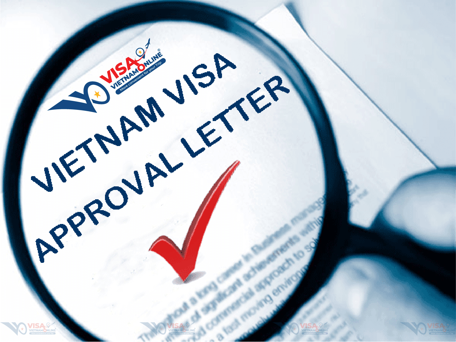 Emergency Visa Vietnam approval letter